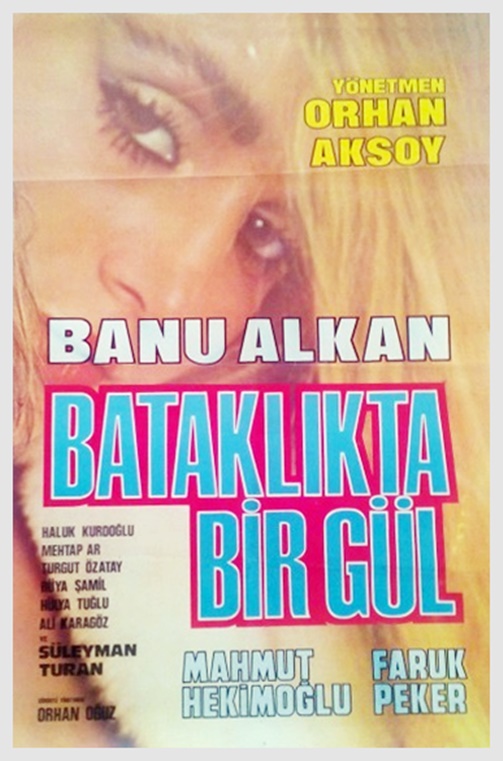 Banu Alkan Sex Filmi Bataklıkta Bir Gül izle